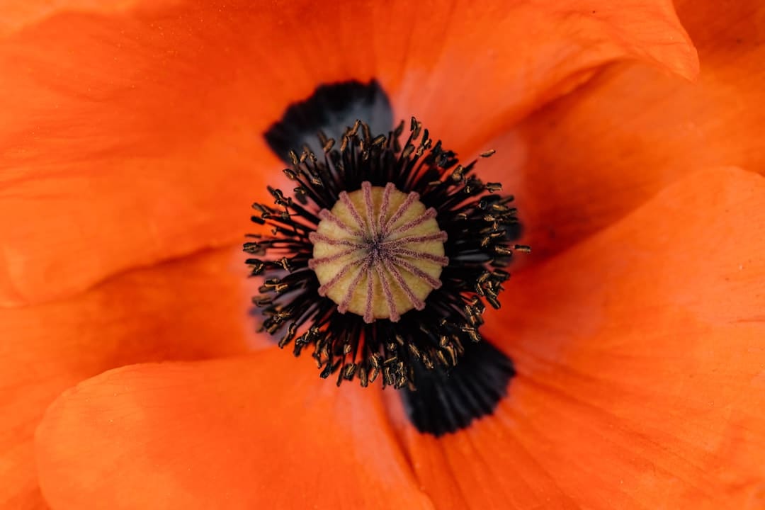 https://img3.utuku.imgcdc.com/650x0/news/20250905/0d7f119f-13c2-4036-a85f-57e9779d87f9.jpg